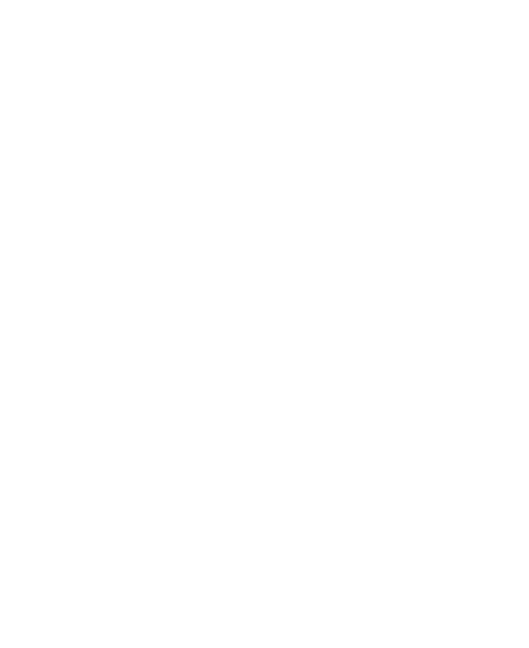 Viadul Logo